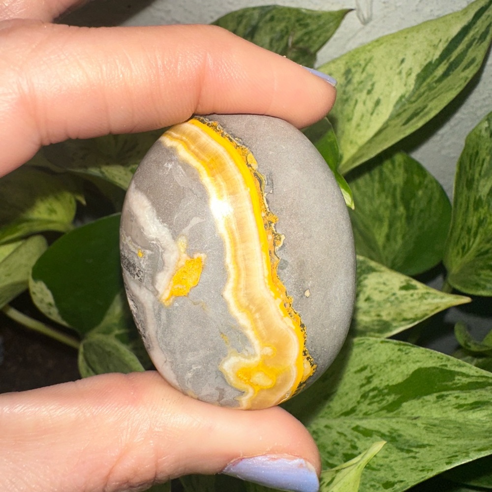 Bumblebee Jasper Palmstone